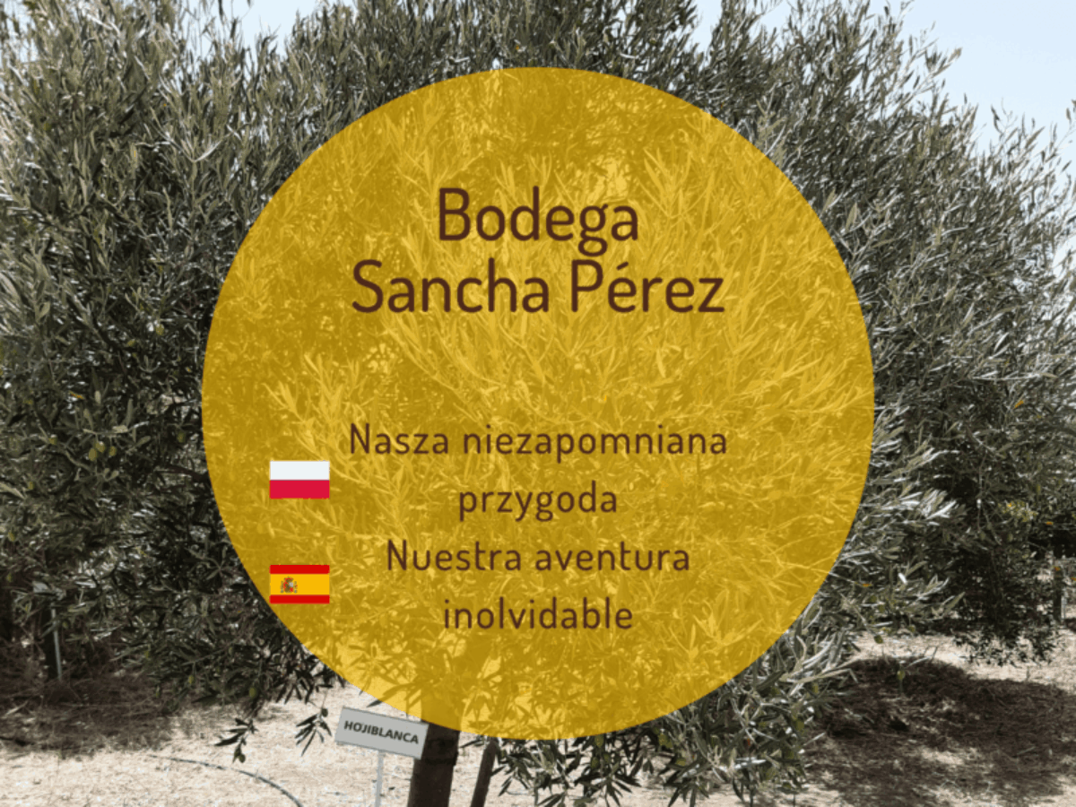 Nuestra aventura inolvidable en Bodega Sancha Pérez